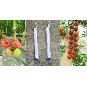 

Vine Tomato plant support Vegetable Cucumber Garden Plant Support J Hook
