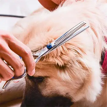 

Dog Hair Scissors Care Set Grooming Scissors Pet Grooming Tools Pets Complete Care Comb Cutting Supply