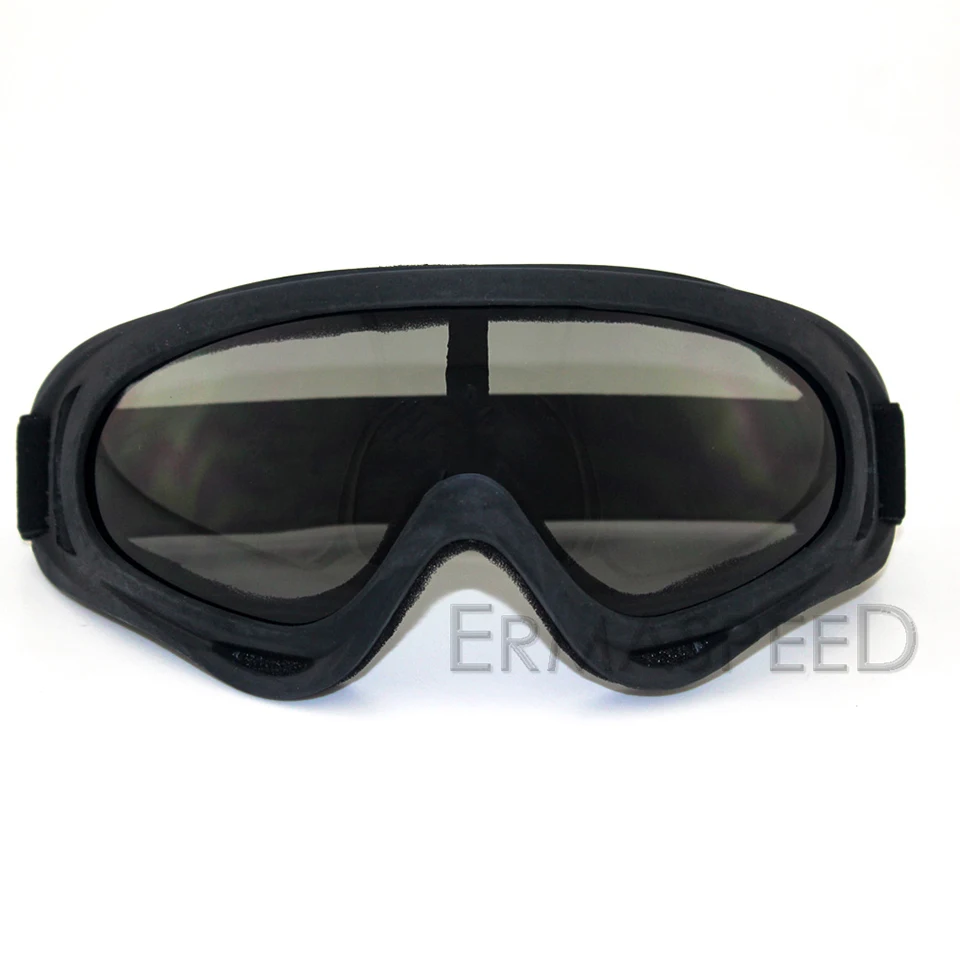 motorcycle goggles (2)