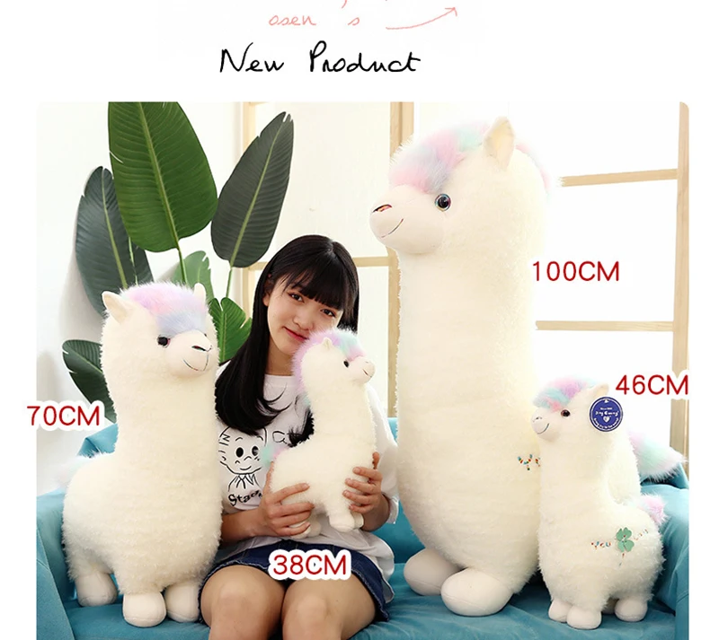 12050919649_457482698