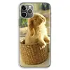 Mobile Phone Accessories