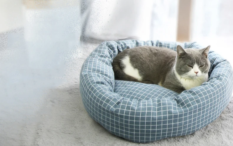 详情_O1CN01Wn19kS1siRimuBpnL___2200779545800