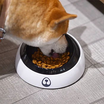 

Grey Plastic Pet Bowl Pet Dog Pet Food Bowls Slow Puppy Eating Feeder Dish To Prevent Obesity Dogs