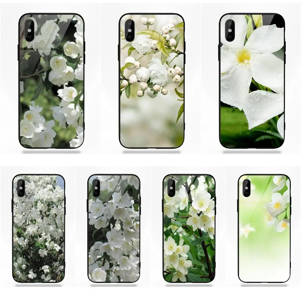 For Apple iPhone 5 5C 5S SE 6 6S 7 8 Plus X XS Max XR Soft TPU Frame+Tempered Glass Silicone Case Sweet Jasmine Flower | Мобильные
