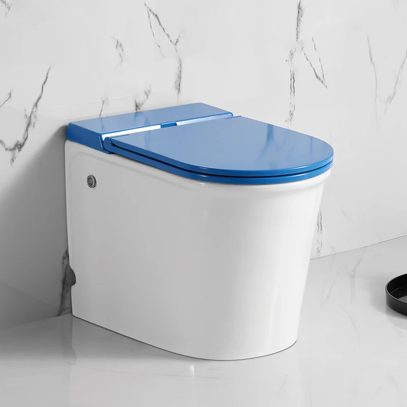 Pulse Solenoid Toilet Without Water Tankkasg Dv9010t Toilets