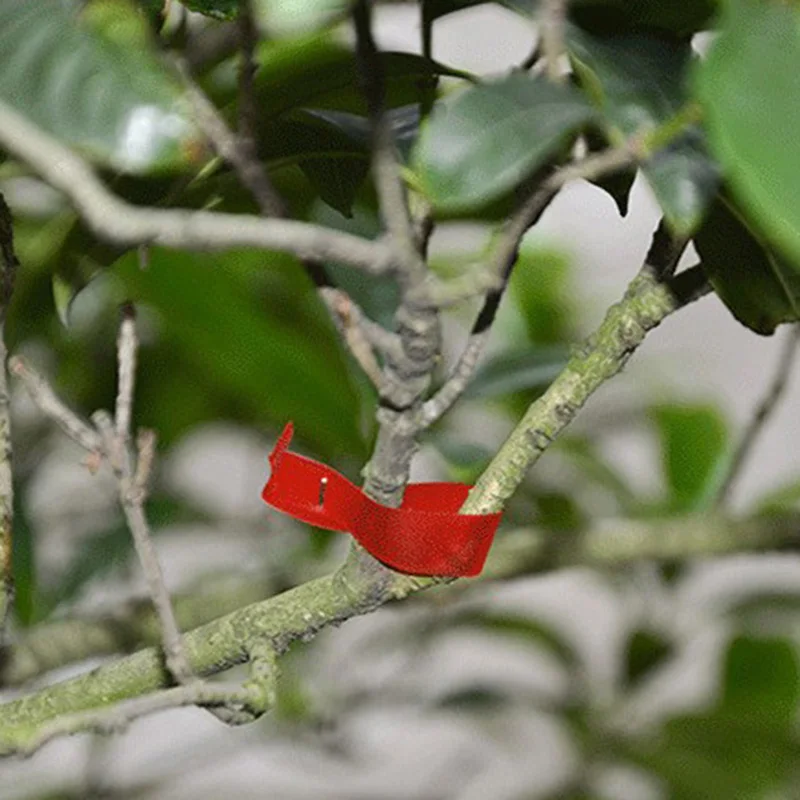 

Straps Plant Tape Cucumbers Gardening Grape Tomatoes Ties Branches Binding Supports Outdoor Accessories