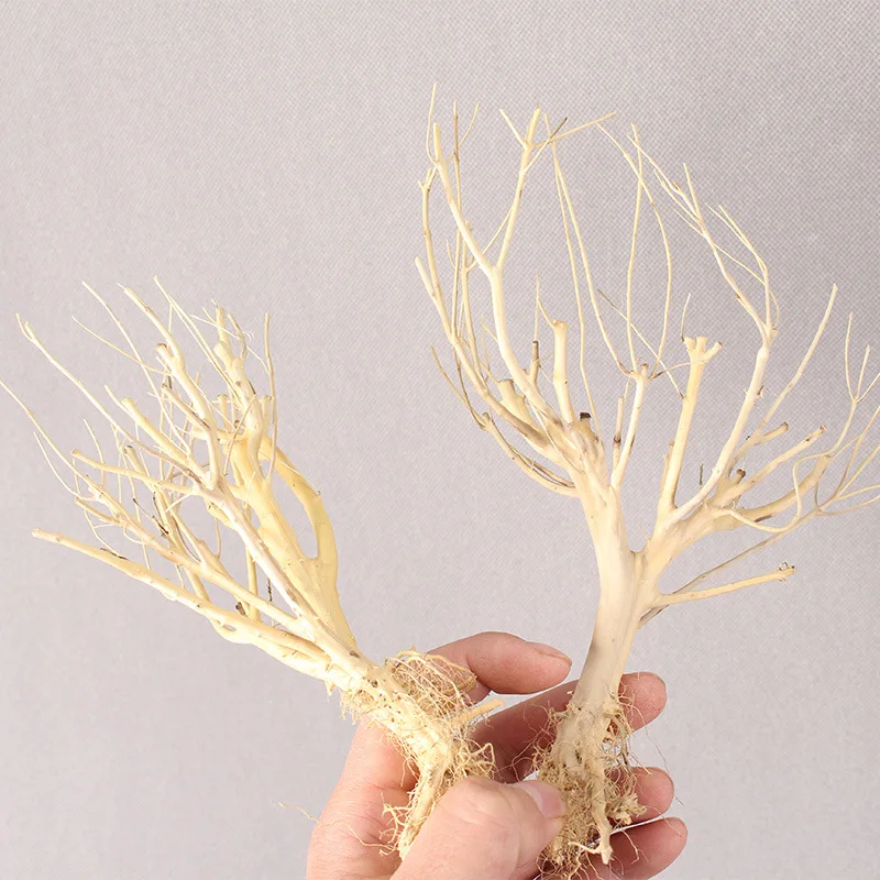 20/30Cm New Wood Fish Tank Driftwood Landscape Natural Tree Trunk Driftwood Aquarium Plant Aquario Aquarium Decoration Ornament