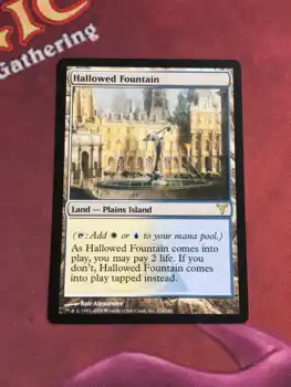 

Hallowed Fountain Dissension magician ProxyKing 8.0 VIP the proxy cards to gathering every single mg card.