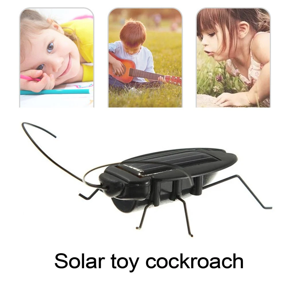 cockroach getting into toy car