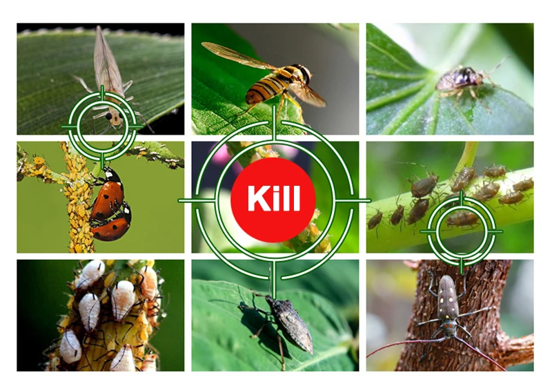 O1CN01towLuN248W0mysTHb_!!3501847346