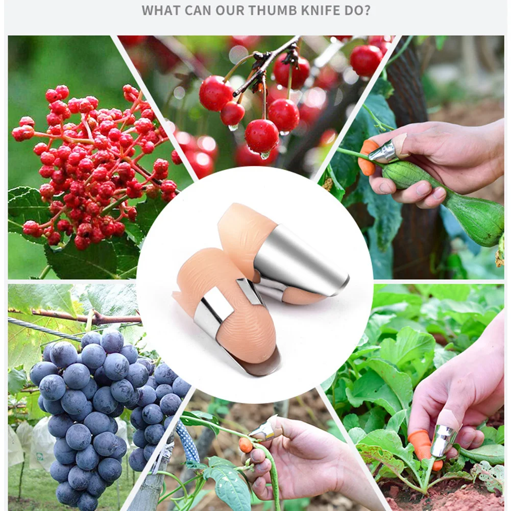 Index Finger Cover Harvesting Plant Tools Pruning Stainless Steel Picking Separator Portable Vegetable Thumb Cutter Fast Garden