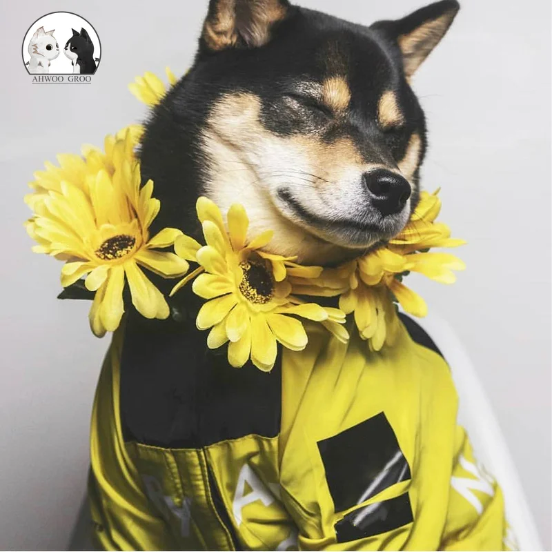 Chaqueta impermeable para perro mascota, ropa reflectante a prueba de viento para mascotas pequeñas, abrigo para mascota grande