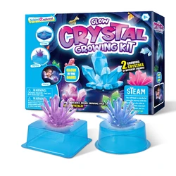 Kit de jouet expérimental scientifique en cristal, lumineux, en croissance, à monter soi même, avec tige, cadeau éducatif 