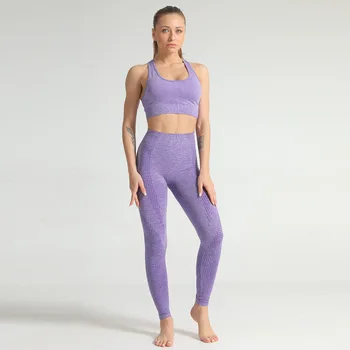 

Seamless Yoga Suit 2 piece Sports Shirts Crop Top Sport Set Gym Clothes Fitness Leggings Tracksuit Workout Set Femme Sexy Bras
