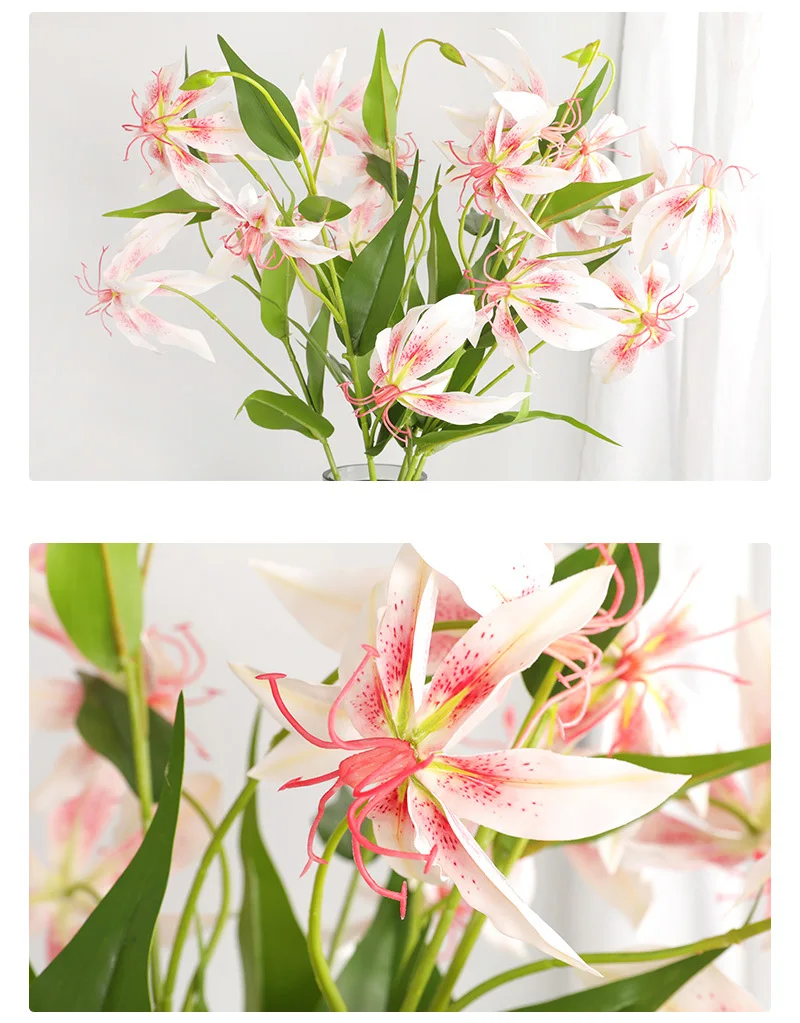 07f692b2-13a0-4fae-b126-a3a6aad5e965