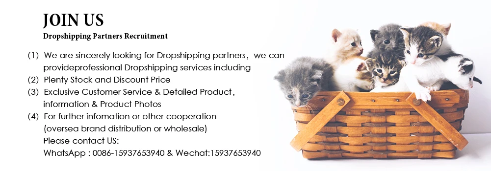 H8b911b37a91f475698e534df3e3580f7k.jpg?width=1001&height=350&hash=1351