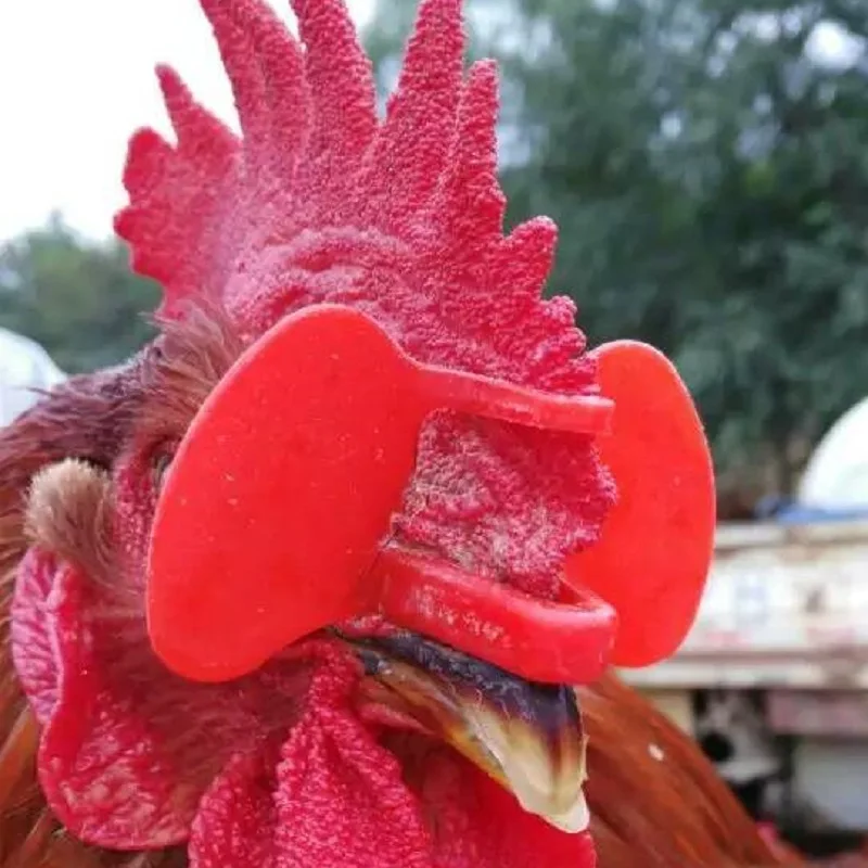 Тромболитные Экстра Большие куриные очки 100 шт. двухлучевые тромбольные|Клетки и