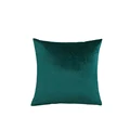 Malachite Green