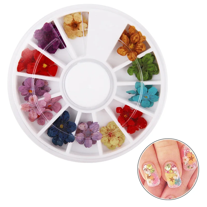 1 Wheel Natural Dried Flowers Nail Art Decoration 3D Pressed Plum blossom Flower Slider Sticker Polish Manicure Nail Accessories