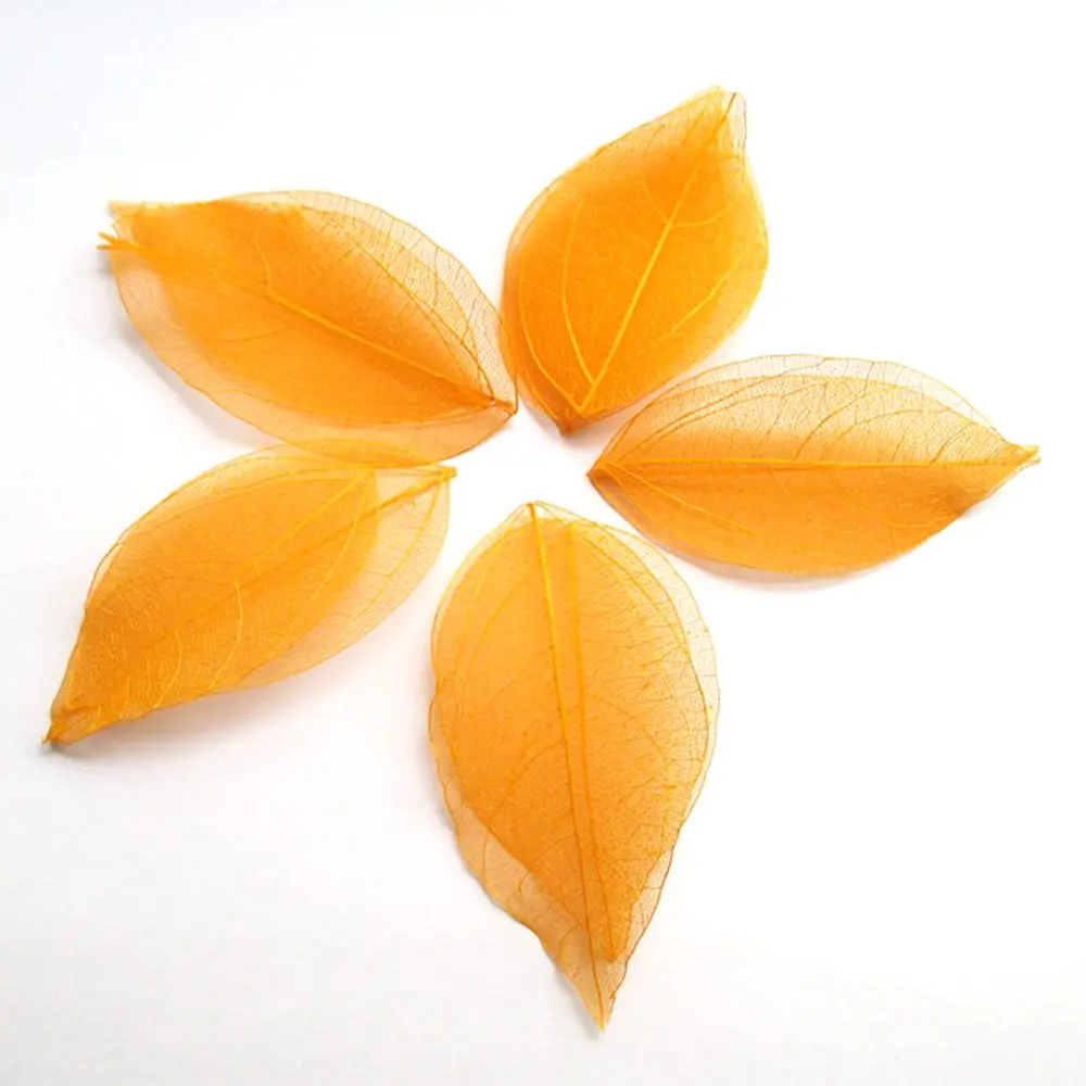 100 шт белый цвет на выбор натуральный каркас листьев для DIY 3-7 см 014005001