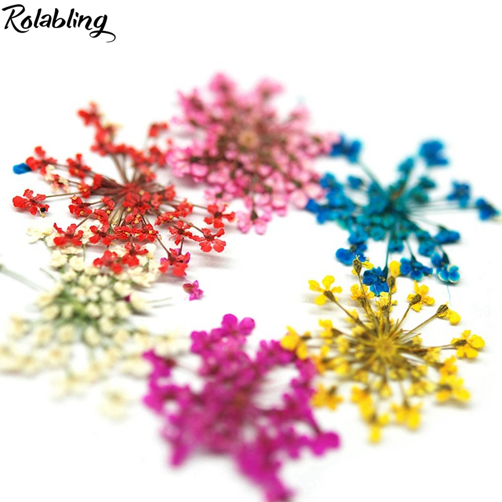 Rolabling 3D украшения для ногтей DIY микс сушеных цветочных листьев наклейки маникюра