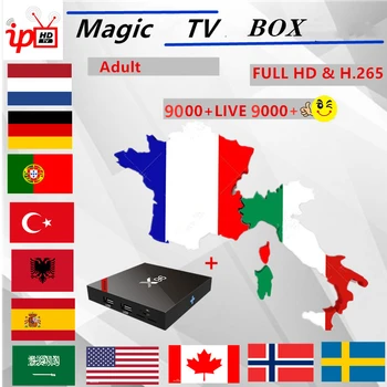 

X96W IPTV box UK Europe Arabic French IPTV Italia Netherlands Turkey Spain Sweden Norway Portugal france smart tv box only