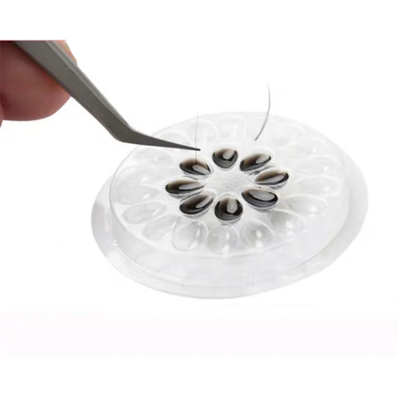 

False Eyelashes Glue Holder Eyelash Extension Glue Holder Pallet Pads Gasket Plastic Tranparent for Eyelash Extension