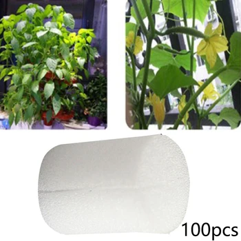 

100PCS Cloning Collar Foam Insert Sponge For Mesh Net Pot Hydroponic 19MM Soilless Hydroponic Planting Sponge Block