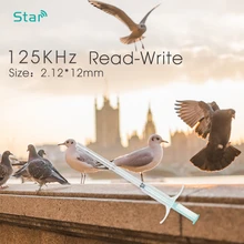 ISO14443A 13,56 Mhz NFC стеклянный шприц-транспондер Ntag216 RFID микрочип инжектор блок для собаки крупного рогатого скота Идентификация животных