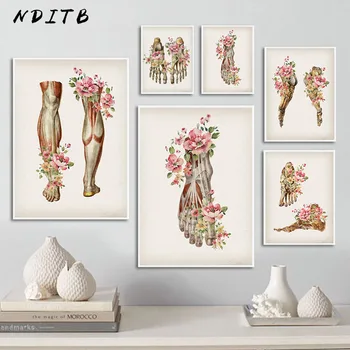 

Skeletal Muscle Anatomy Art Canvas Painting Floral Foot Bone Medical Poster Print Education Hospital Picture Modern Decoration