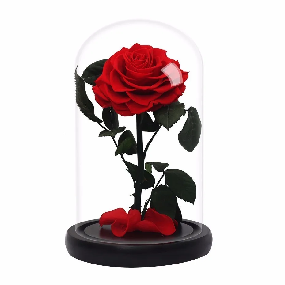 Red Eternal Life Immortal Flower Pink The Beauty And The Beast Rose Glass Dome Mother's Day Gift Valentine's Day Gift