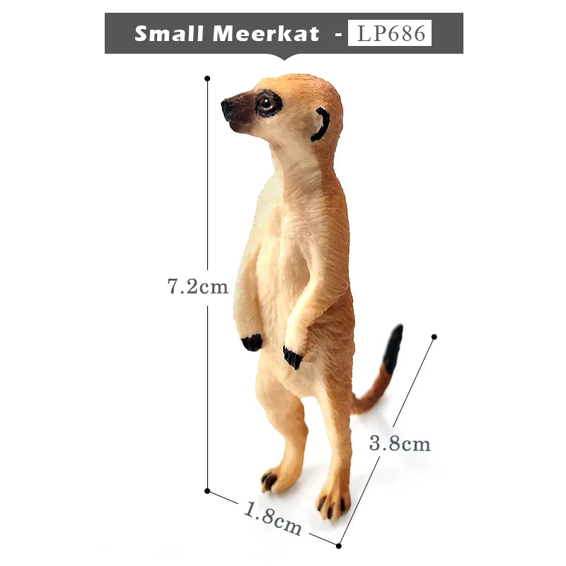 Small Meerkat Имитация белки, слона, попугая, Wombat, фигурка животного, домашний декор, миниатюрное украшение для сада в виде Феи, аксессуары, фигурка - Цвет: Small Meerkat