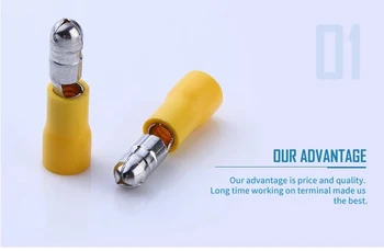 

Brass Yellow MPD5.5-195 Male Quick Disconnect Terminal