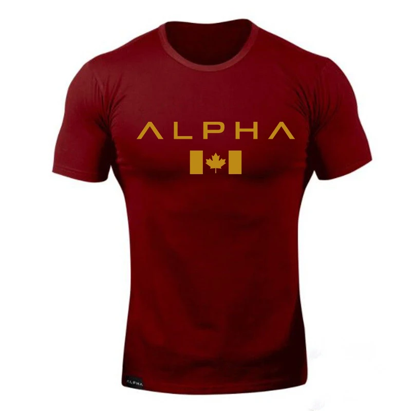 Alpha Спортивная футболка мужская хлопковая Мужская футболка для бега спортивная майка для бодибилдинга и фитнеса облегающая футболка для спортзала