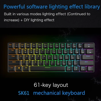 

RGB LED Backlit Wired Mechanical Keyboard,Portable Compact Waterproof Mini Gaming Keyboard 61 Keys Gateron Switchs for PC