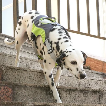 

Dog Chest Straps Large Sports Chests for Large Dogs Big Dog Chest Straps