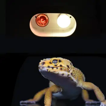

Dual Reptile Light Fixture For Reptile Dome Uvb Light Fixture Dual Lamp Cap Combo Integration Design Heat Lighting Lamp Kit