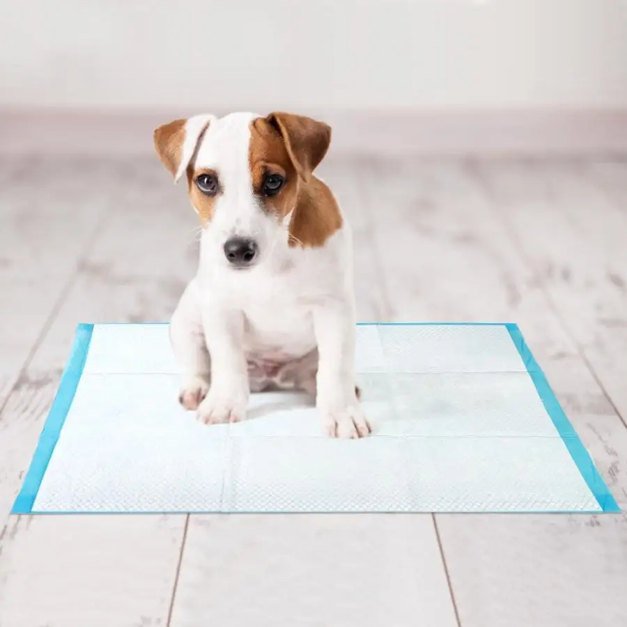 Пеленка для животных Супер Впитывающая собака тренировочные подгузники здоровые чистые подстилки для собак одноразовый подгузник для собак туалет для щенков 4 размера