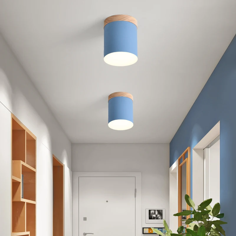  8 Colors AC220V Modern Luxury White Ceiling Indoor Lighting Fixture Bedroom Lamp Living Room LED Li - 4000098741890