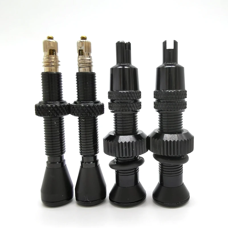 schrader tubeless valve