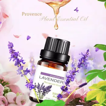 

Essential Oils With Aromatic Aromatherapy Oil 6 Kinds Lavender,Tea Fragrance Essential Oil Tree,Lemongrass Of For Diffuser M8W5