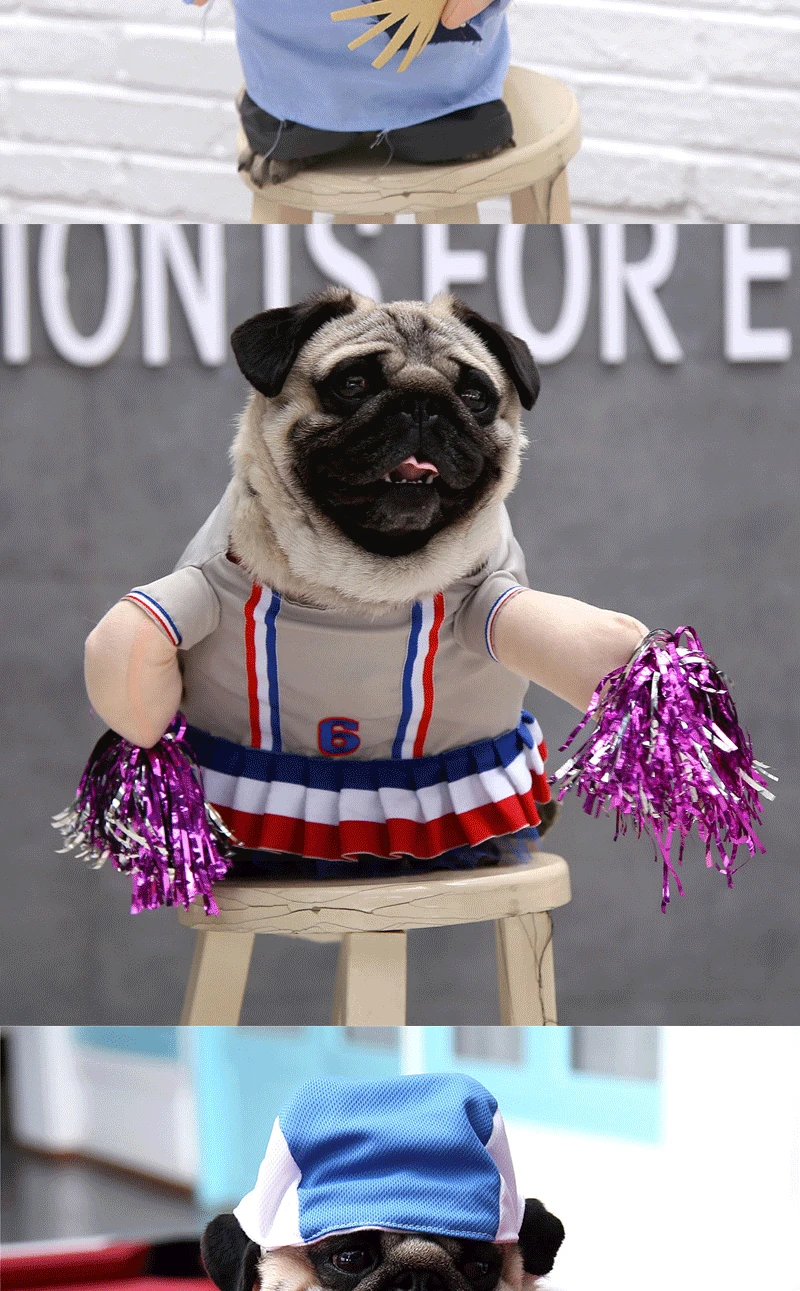 9188320461_291311941