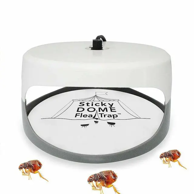 Csapdák+2 Izzók+2 Szuper Ragadós Tárcsák Bolhcsapda Háziállat Háztartási Bolha Lámpa Bolhák Csapda Gyilkos Fény