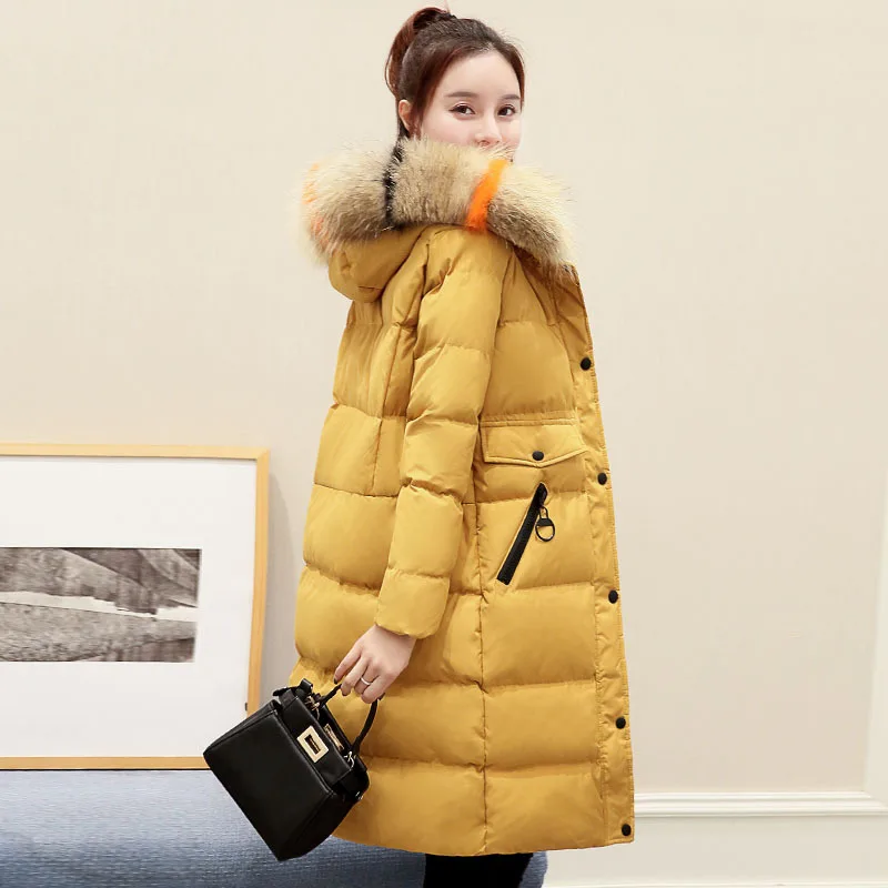 

Cotton-padded Clothes Women's Mid-length 2019 New Style Color Really Big Fur Collar down Jacket Cotton-padded Clothes Mid-length