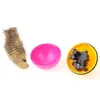 1pc Cat Toys Beaver Weasel Rolling Motor Ball Toy for Pet Cat Dog Jumping Fun Moving Chaser Random Color Pet Product 4
