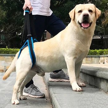 

Pet Dog Harness Dog Sling Lift Harness Leg Brace Hind Leg Help Walking Dogs Pet Balance Harness Auxiliary Belt Strap