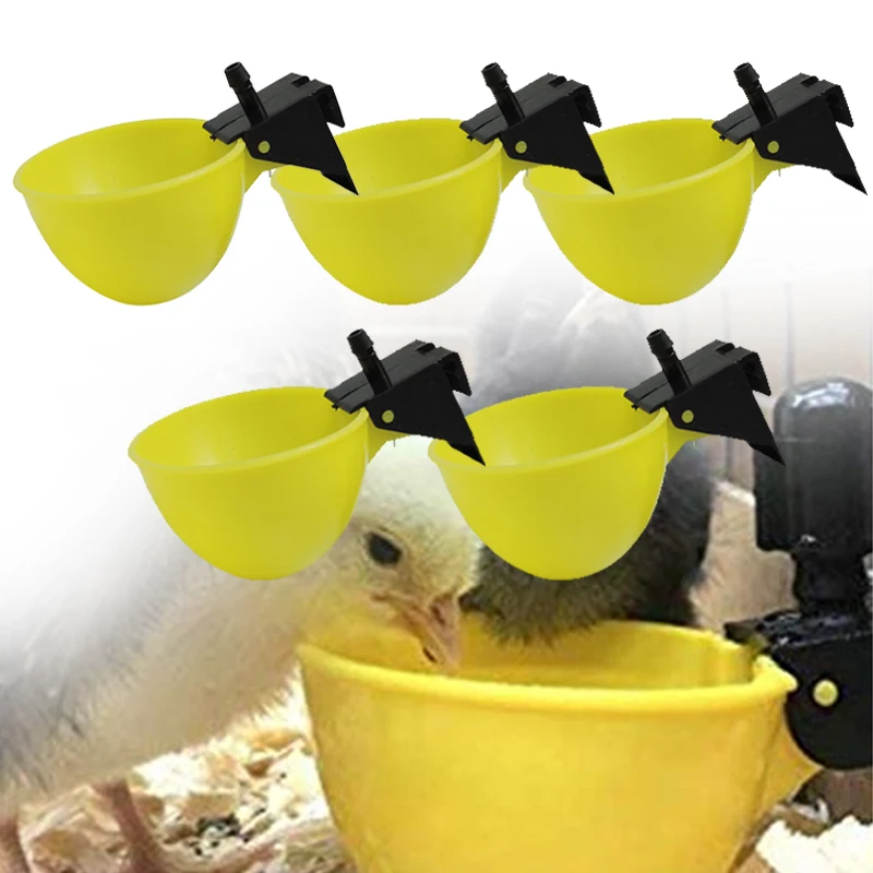 Cuencos de plástico para beber pollo con camiseta, 6mm, vasos bebederos, bebedero para pollos, codorniz, 5 uds.