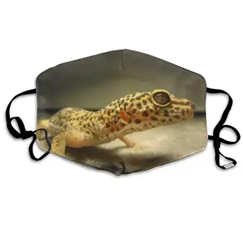 

Mouth Mask for Daily Dress Up, Leopard Gecko Anti-dust Mouth-Muffle, Washable Reusable Holiday Half Face Masks for Mens and