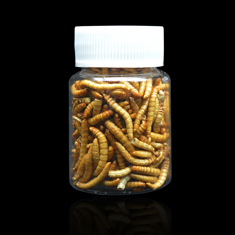 25 г/50 г сублимированный Mealworm Муравьиное гнездо Муравьиное питание питательный белок муравей принадлежности для фермы домашних животных муравейник мастерская муравей товары для дома