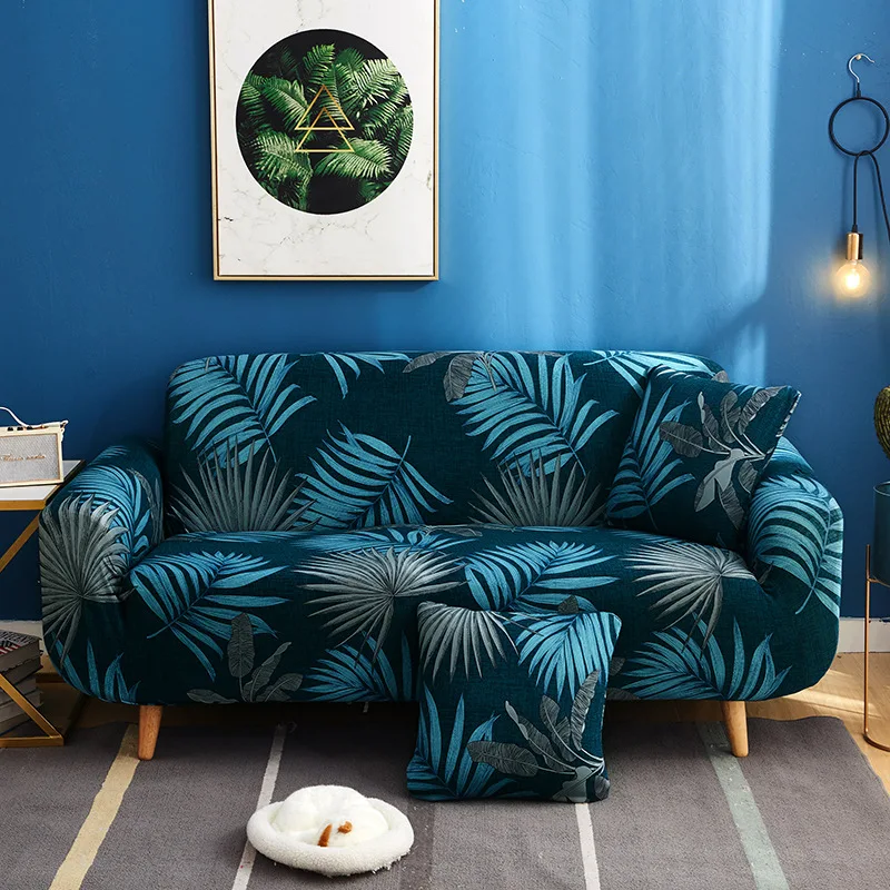 11422924794_1044884733